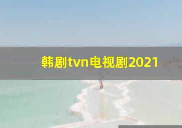 韩剧tvn电视剧2021