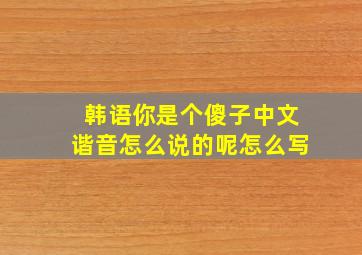 韩语你是个傻子中文谐音怎么说的呢怎么写