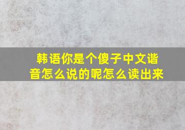 韩语你是个傻子中文谐音怎么说的呢怎么读出来