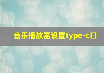 音乐播放器设置type-c口