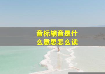 音标辅音是什么意思怎么读