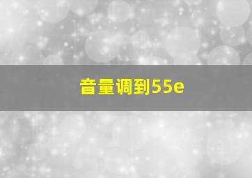 音量调到55e