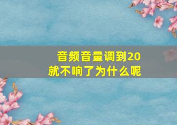 音频音量调到20就不响了为什么呢