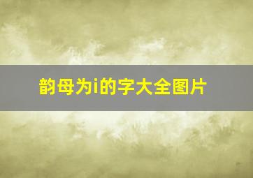 韵母为i的字大全图片