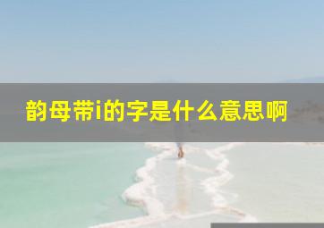 韵母带i的字是什么意思啊