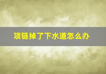 项链掉了下水道怎么办