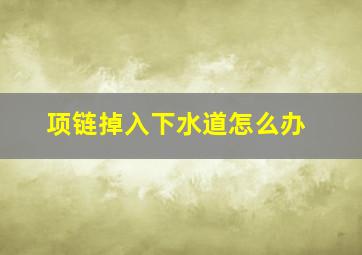 项链掉入下水道怎么办