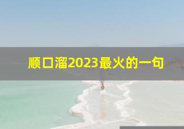 顺口溜2023最火的一句