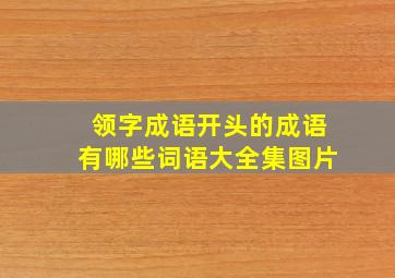 领字成语开头的成语有哪些词语大全集图片