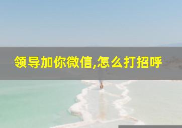 领导加你微信,怎么打招呼