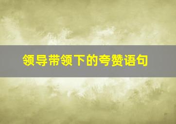 领导带领下的夸赞语句