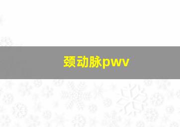 颈动脉pwv