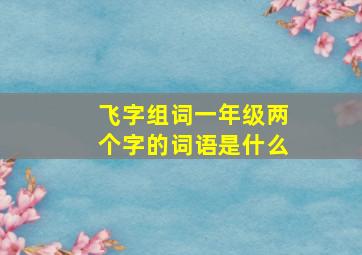 飞字组词一年级两个字的词语是什么