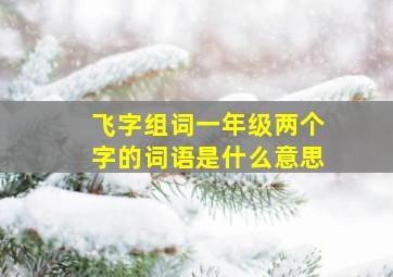 飞字组词一年级两个字的词语是什么意思