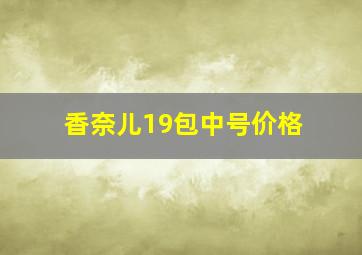 香奈儿19包中号价格