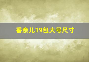 香奈儿19包大号尺寸