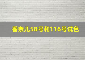 香奈儿58号和116号试色