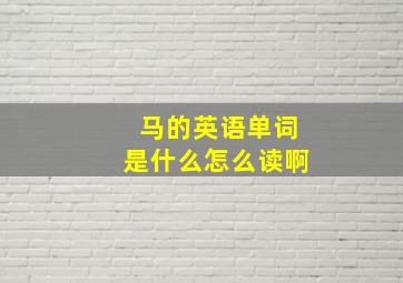 马的英语单词是什么怎么读啊