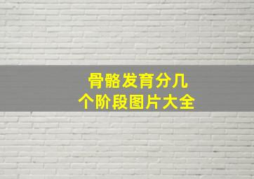 骨骼发育分几个阶段图片大全