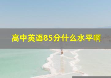 高中英语85分什么水平啊