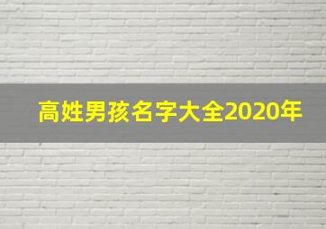 高姓男孩名字大全2020年