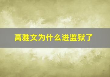 高雅文为什么进监狱了