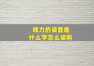 魄力的读音是什么字怎么读啊