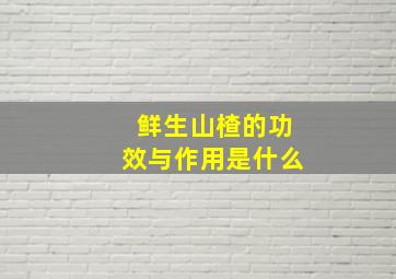 鲜生山楂的功效与作用是什么