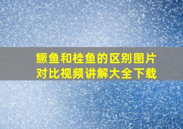 鳜鱼和桂鱼的区别图片对比视频讲解大全下载