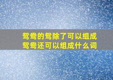 鸳鸯的鸳除了可以组成鸳鸯还可以组成什么词