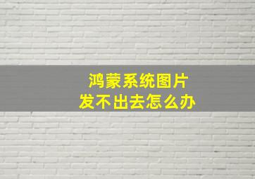 鸿蒙系统图片发不出去怎么办