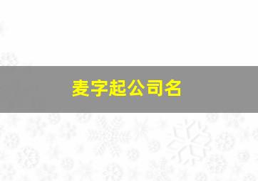 麦字起公司名