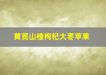 黄芪山楂枸杞大枣苹果