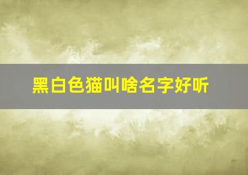 黑白色猫叫啥名字好听