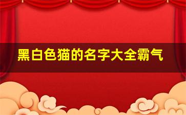 黑白色猫的名字大全霸气