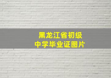 黑龙江省初级中学毕业证图片