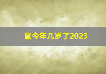 鼠今年几岁了2023