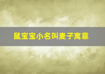 鼠宝宝小名叫麦子寓意