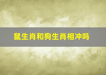 鼠生肖和狗生肖相冲吗