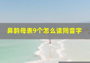 鼻韵母表9个怎么读同音字