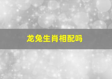 龙兔生肖相配吗