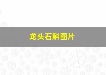 龙头石斛图片