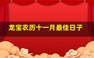 龙宝农历十一月最佳日子