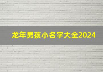 龙年男孩小名字大全2024