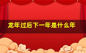 龙年过后下一年是什么年