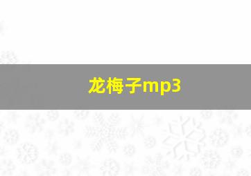 龙梅子mp3