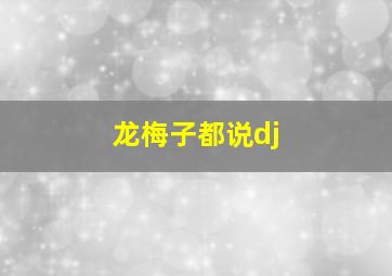 龙梅子都说dj