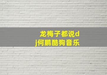 龙梅子都说dj何鹏酷狗音乐