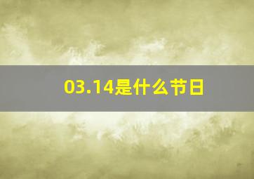 03.14是什么节日