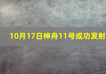 10月17日神舟11号成功发射